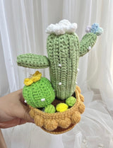 Crochet Cactus Succulent Garden - Kawaii Handmade Plant Decor
