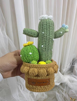 Crochet Cactus Succulent Garden - Kawaii Handmade Plant Decor