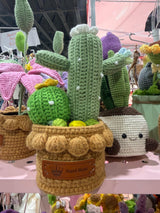 Crochet Cactus Succulent Garden - Kawaii Handmade Plant Decor