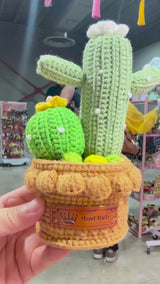 Crochet Cactus Succulent Garden - Kawaii Handmade Plant Decor